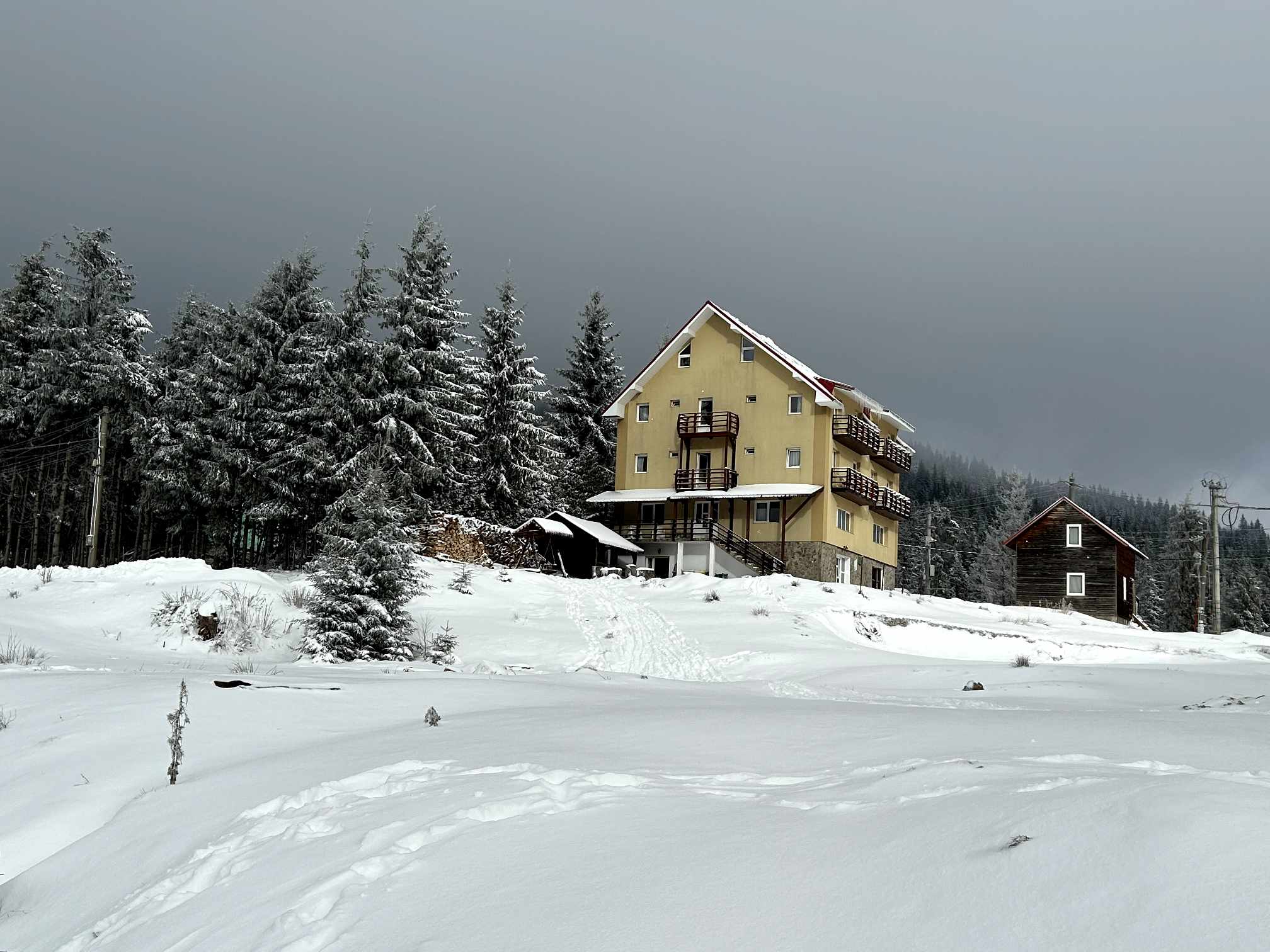 Cazare in Arieseni - PENSIUNEA  ROUA  MUNTILOR - Vartop