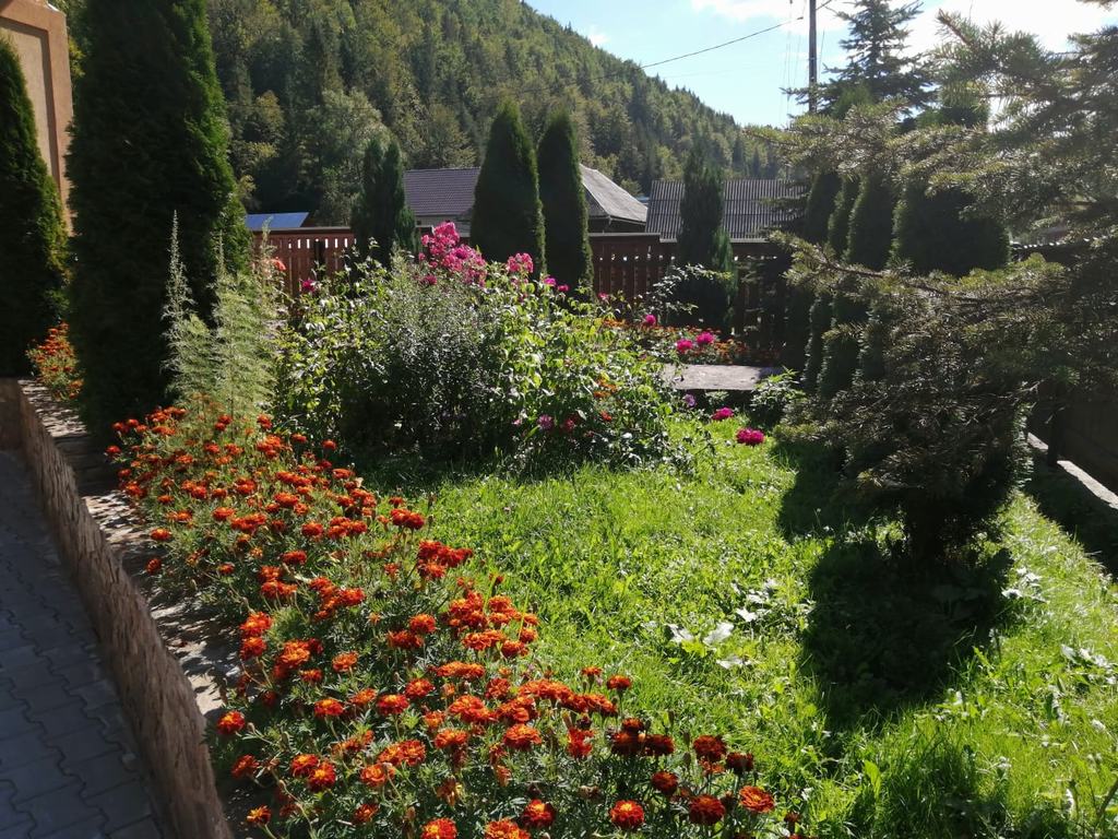 Cazare in Arieseni - CASA VANATORULUI - Girda De Sus