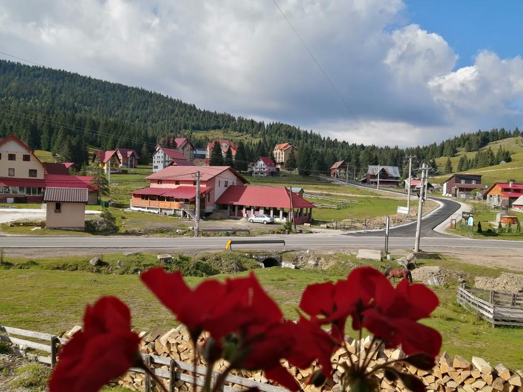 Cazare in Arieseni - CASA POIANA FLORILOR - Vartop