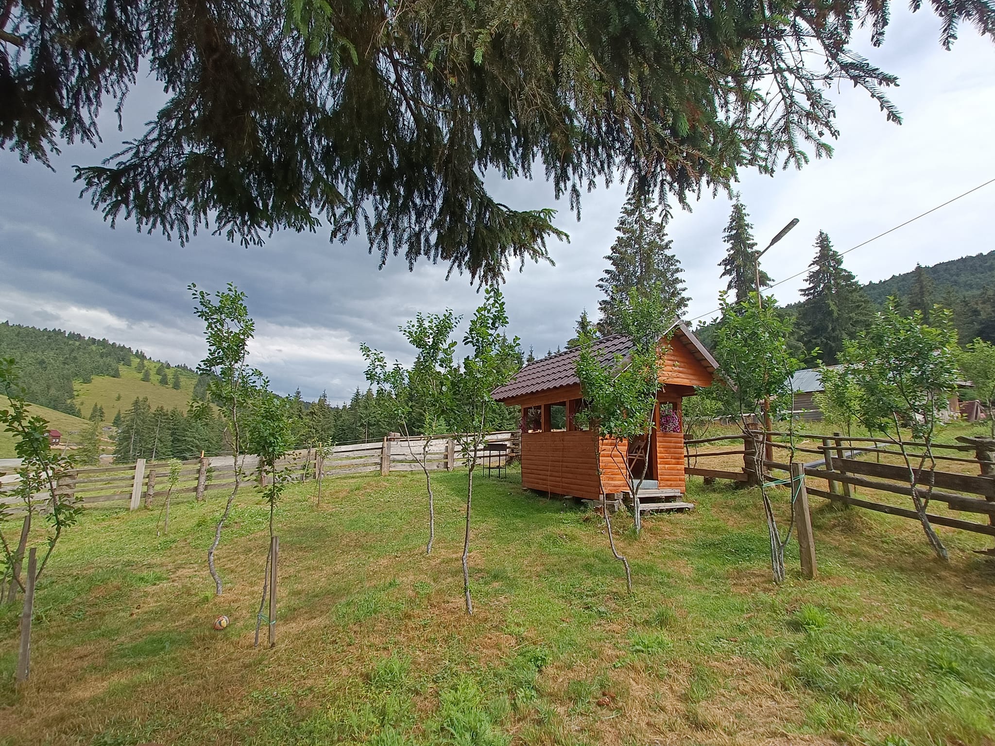 Cazare in Arieseni - CASA POIANA FLORILOR - Vartop