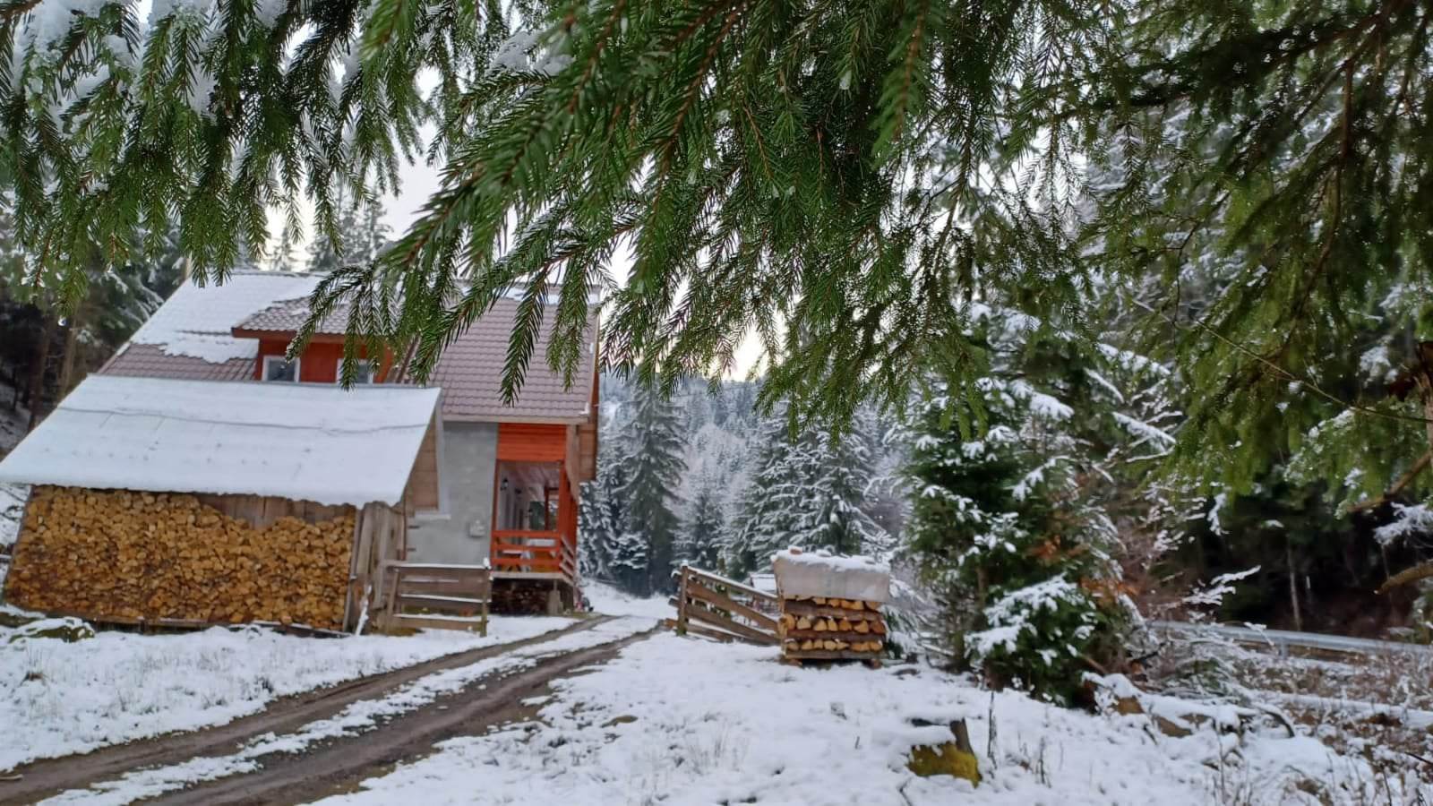 Cazare in Arieseni - CABANA ARMINA SI ANDREI - Arieseni